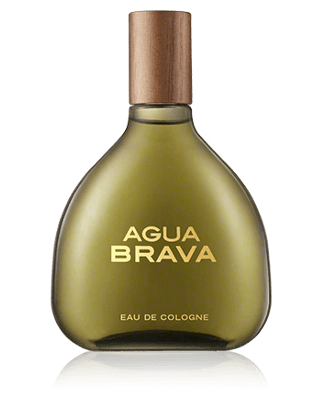Puig AGUA Puig AGUA BRAVA EDC 100ml Hombre original en Costa Rica