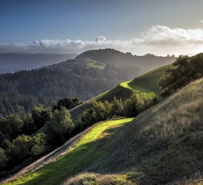 Nature Space S D y M S.A.